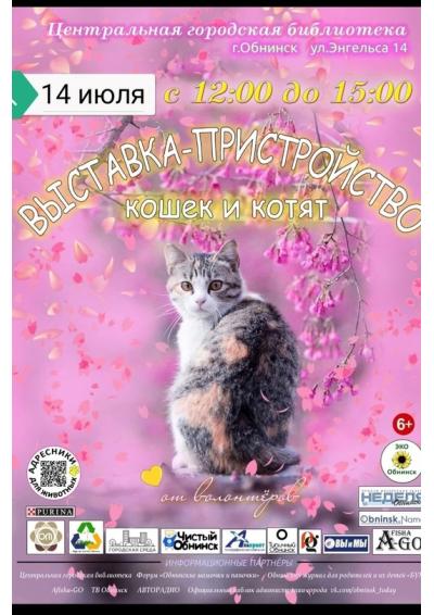 Afisha-go. Афиша мероприятий: Выставка-пристройство кошек и котят